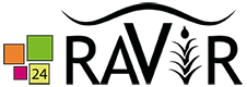 Ravir 24